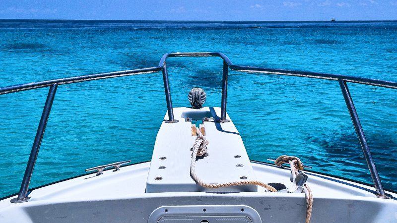 Brand TLDs: All You Need to Know