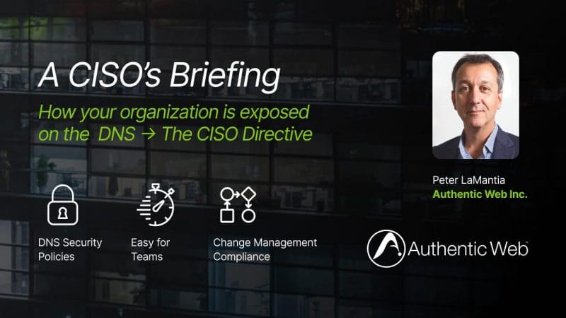 How your organization is exposed on the DNS