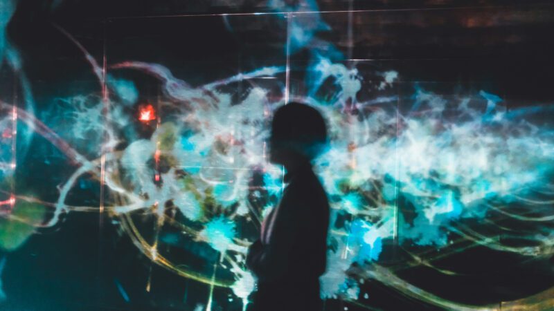 The IT Director’s Story Domain and DNS Management